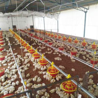 China Automatic Farms Poultry Chicken Cage Feeders Equipment For Chickens Broilers Hens for sale