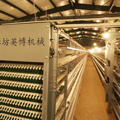 China Economic Farms And Practical Poultry Cage Battery Layer Chicken H Type 4 Tiers 6 Tiers 128 Bird Farm Equipment for sale