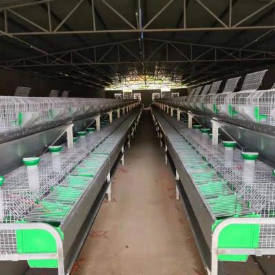 China Easy Install Automatic Rabbit Cage 24 Position Mother And Baby Rabbit Cage For Rabbit for sale