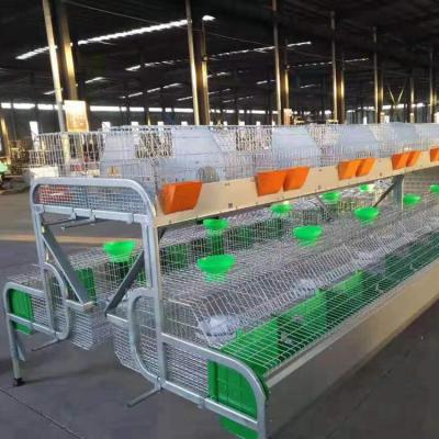 China Rabbit Farm 24 Position Mother And Baby Rabbit Cage For Rabbit Farming House for sale