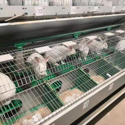 China Use for Rabbit Poultry Farm Rabbit Cage China Factory Layer Welded Rabbit Cage Wire Mesh for sale