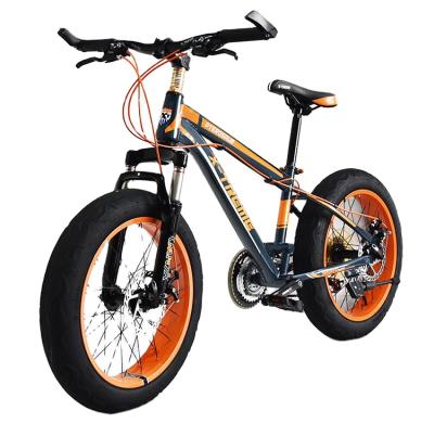 China Easy cycling 20 inch children's bicycle 21speed mountain bike snowmobile snow bike strollerbicyclevariable for sale