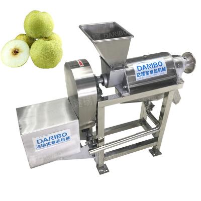 China Electric Juice Extractor High Performance Dewatering Screw Mango Sprial Squeezer Mango Squeezer Fruit Extraction Snack Factory for sale