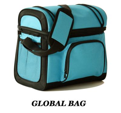 China Insulated Soft Cooler Picnic Lunch Box Tote Bottle Bag Freezer Tote promotional bag 6cans for sale