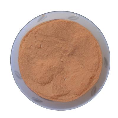 China Organic Health Food Bluk Carrot Powder Carrot Juice Powder for sale