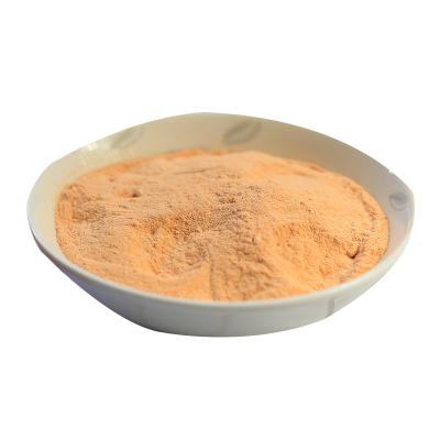 China Health Food Factory Supply Premium Organic Carrot Juice Powder Carrot Powder for sale