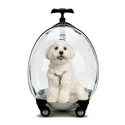 China Transparent Dogs Stored Capsule Pet Trolley Cat Carriers Bag With Trolley Wheel Te koop