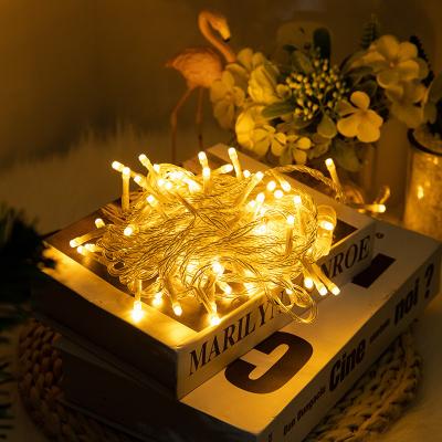 China High Quality Window String Lights 110-240V LED Christmas Copper String Light for sale