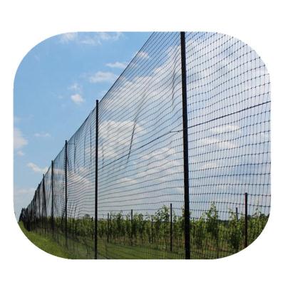 China Anti Bird PP Anti Bird Netting Netting For Vegetable Protection Garden for sale