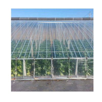 China Low price PE greenhouse polythene film for cover for sale