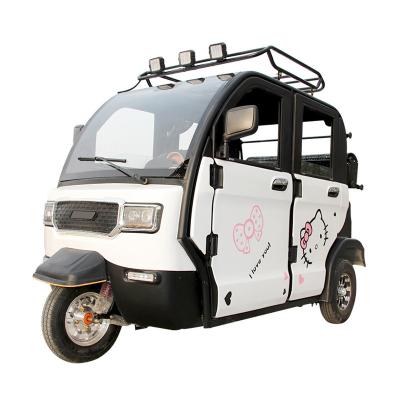 China Passenger Fully Enclosed Vehicle 3 Wheeled Electric Vehicle Adult Household Three Wheeled Small Vehicle With Canopy for sale