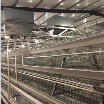 China Easily Install Q235 Steel A Type Broiler Layer Automatic Chicken Cage Poultry Farming Equipment System for sale