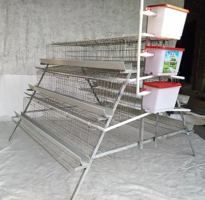 China Easily Install Full Automatic Egg Layer Chicken Farm Equipment One Type China Trade Battery Poultry Cage System for sale