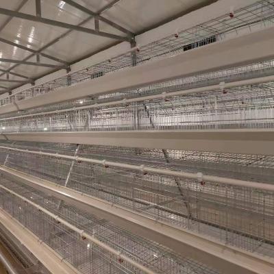 China Easily install cheap price cages for layers for sale