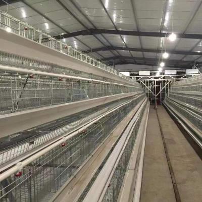 China Easily Install Hot Sale Galvanized Automatic Type A Chicken Cages Layer Poultry For Farm Equipment for sale