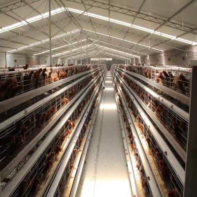 China Easily Install Alibaba Hot Sale Labor Saving Automatic Galvanized Battery Chicken Cages For Hens for sale