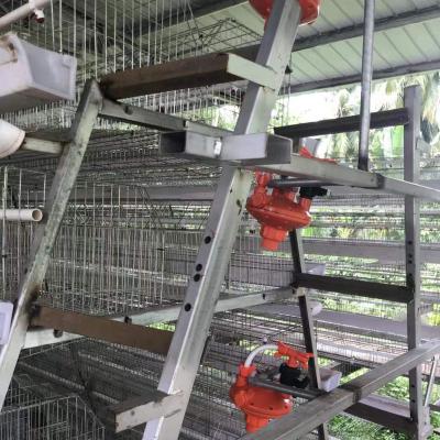 China Easily Install 120 Chicken Wire Mesh A Type Egg Layer Battery Poultry Equipment Cage for sale