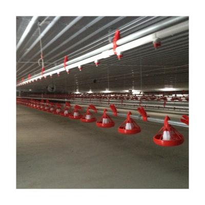 China Ground feed chicken farm chinese products good quality wholesale equipment for chicken poultry farm for sale