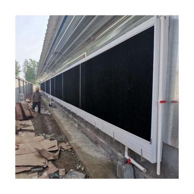 China Chicken Farm Pay Ground Feeding Attention To Details Chicken Poultry Farm Equipment Feeding Feeding System for sale