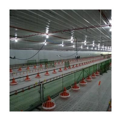 China Ground Feeding Chicken Farm Zero Defect Ethiopia Chicken Farm Poultry Equipment For Sale for sale