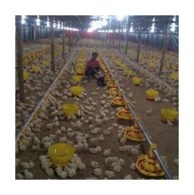 China Chicken Farm China Supplier Quality Farm Equipment Ground Feeding Chicken Cage For Sale for sale