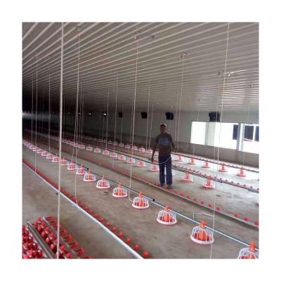 China Ground Feeding Chicken Farm Be New In Design Poultry Farm Equipment For Chicken for sale