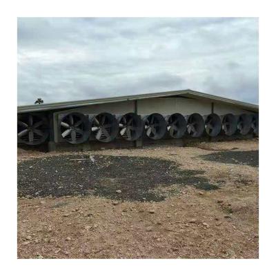 China Ground Feeding Chicken Farm New Arrival Poultry House Steel Curtain For Chiken for sale