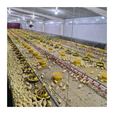 China Ground Feeding Chicken Farm Latest Design Promotional Wooden Chicken Poultry House for sale