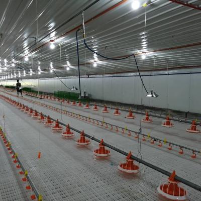 China Easily Assembled High Quality Poultry Equipment Chicken Floor , Farming Plastic Slatted Floor For Chickens for sale