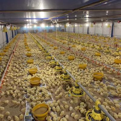 China Automatic Line Farms Poultry Farm Chicken Feeding System With Plastic Chicken Broiler Feed Pan for sale