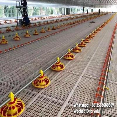 China Farms Top Selling Fully Automatic Broiler Equipment Poultry Hen Farm Equipment for sale