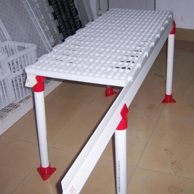 China New Easily Assembled High Quality Material Plastic PP Slat Flooring For Broiler Farm Chicken House for sale