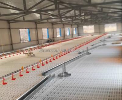 China High Qualiy Low Cost Easily Assembled Plastic Slat Poultry House Flooring For Chicken for sale