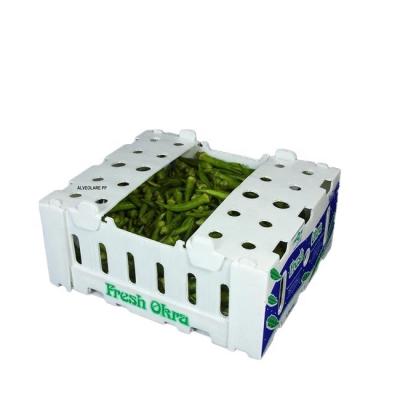 China Recyclable PP Corrugated Plastic Box For Tomato Okra Packing Boxes for sale