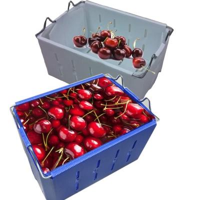 China Recyclable stackable corrugated plastic pick box/fruit box /corflute pick box for sale