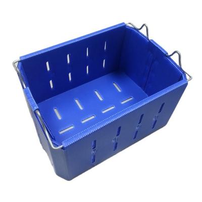 China Australia recyclable coreflute plastic pick box harvest corflute boxes for sale