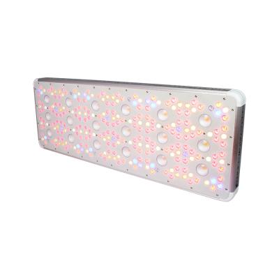 China Seed starting new design horticuture COB led grow light commercial hydro dimmable spectrum full led grow light 1200W for sale