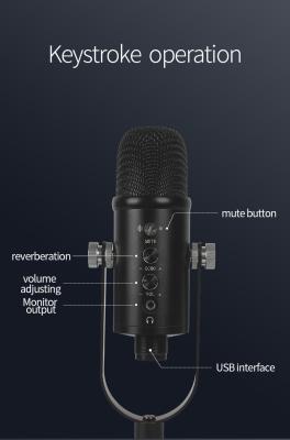 China USB Microphone Condenser Microphone Set Microphone System For Streaming Youtube Broadcast And Videos for sale