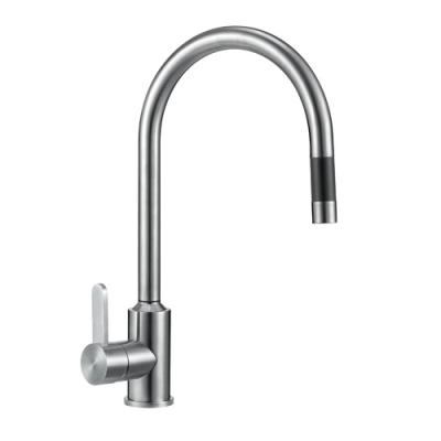 China Foshan Factory Faucets Thermostatic Modern Single Handle Stainless Steel Flexible Kitchen Faucet for sale