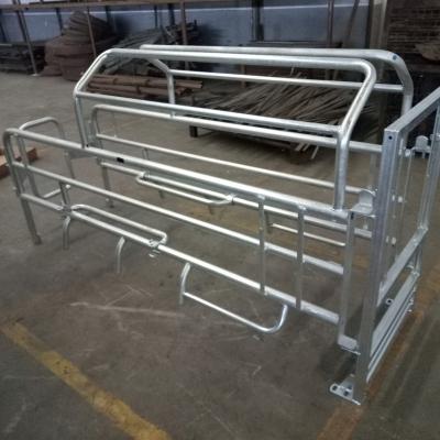 China European Farms Sustainable Pork Farrowing Crate for sale