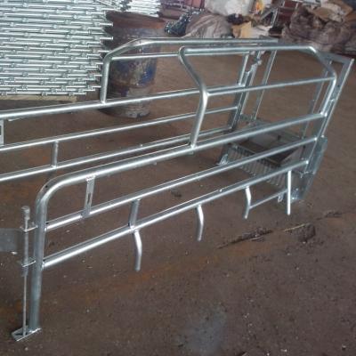 China Breeds OEM Hot Dip Professional Customized Adjustable Hog Used Crate Sow Farrowing Farrowing Crate for sale