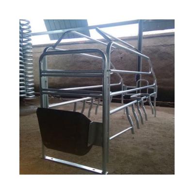 China Indoor Farms Widely Use Poultry Pregnant Stalls Pig Cage For Sow Farm for sale