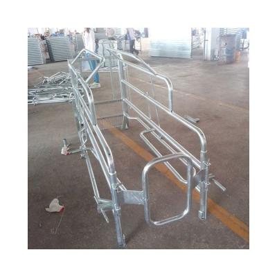 China Farms Pig Farm Equipment Pregnancy Cage For Pregnant Sow Gestation Stall for sale