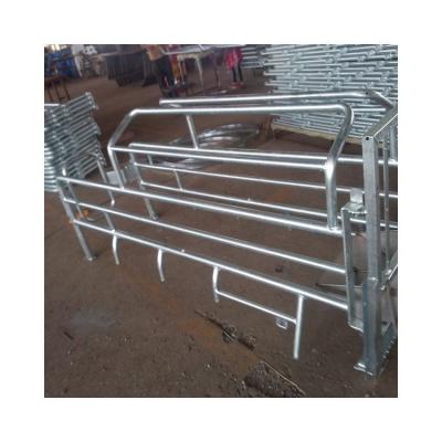 China Cultivate Modern Design Health Pig Maternity Cage For Farm Breeding for sale