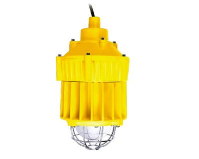 China Outdoor Waterproof 22W led explosion proof lighting Aluminum Shell For Gas Station for sale