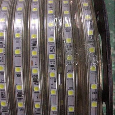 China DC12V or DC24V IP68 LED Strip Light 5050 60 pcs of LED for Under Water for sale