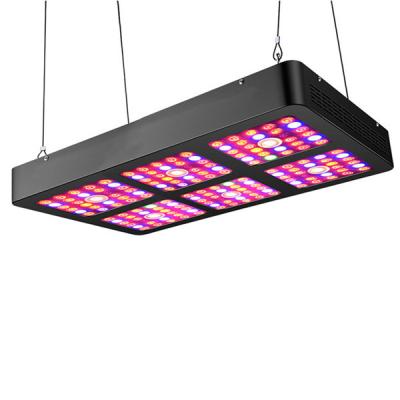 China 600w 8 Bars Input 220-240v Indoor Led Grow Light For Farming Plant for sale