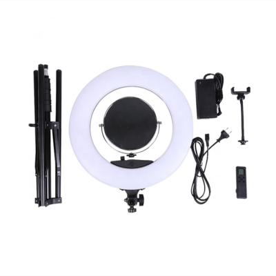 China 12 de duim maakt Ring Light Brightness Photography Indoor omhoog tot Videofilm Schietend Rondschrijven Te koop