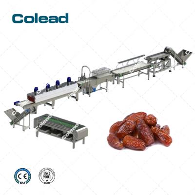 China Hotels Palm Dates Cleaning Machine and Processing Machine for SA for sale