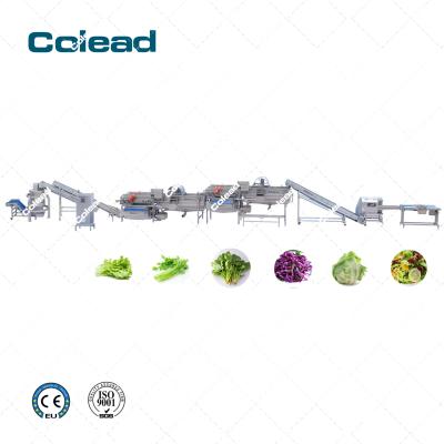 China Colead fruit and vegetable frozen vegetable processing machine/line for sale